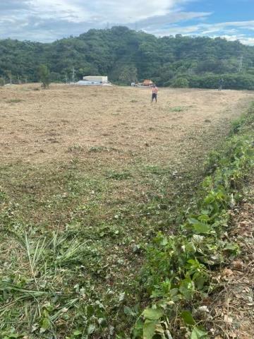 后里農地-9