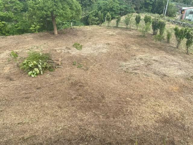 后里農地-10