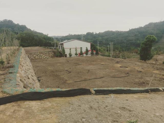 后里農地-2