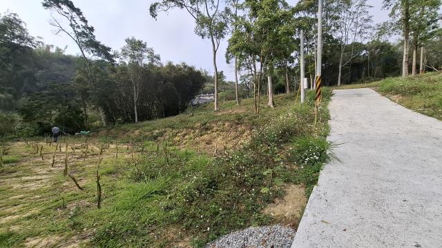 台中農地-13
