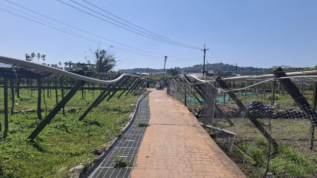 台中石岡農地-0