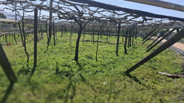 台中石岡農地-1