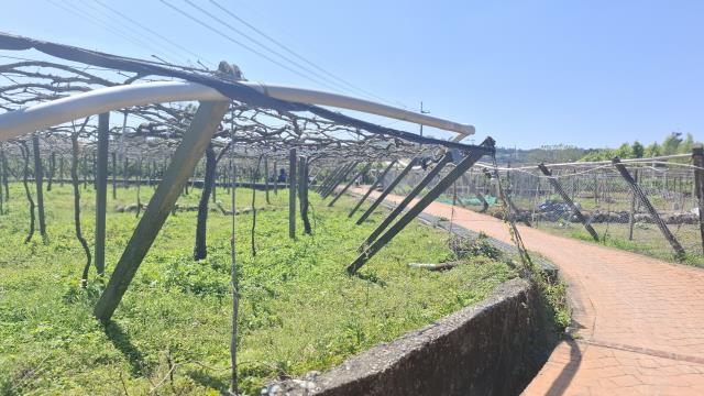 台中石岡農地-2