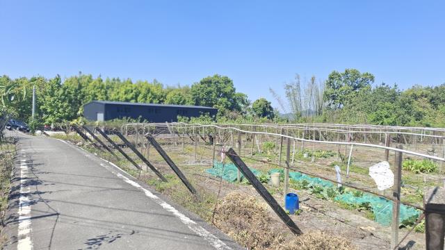 台中石岡農地-4