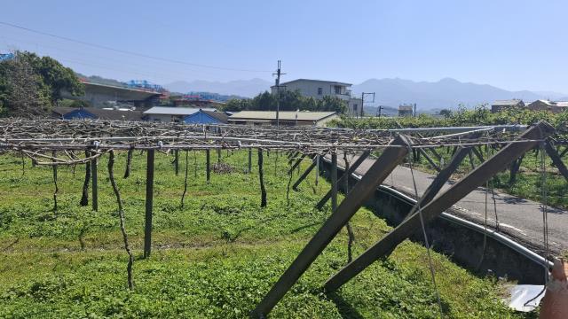 台中石岡農地-5