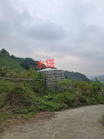 東勢農地-11