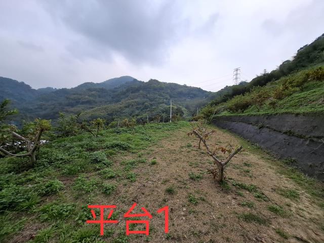 東勢農地-0