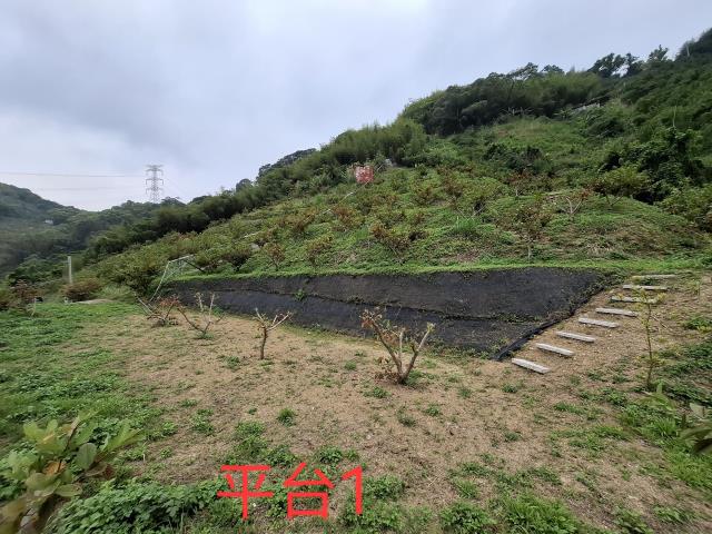 東勢農地-1