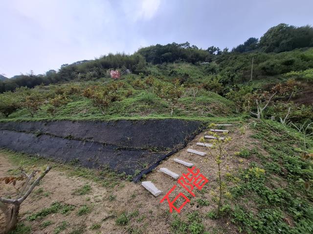 東勢農地-2