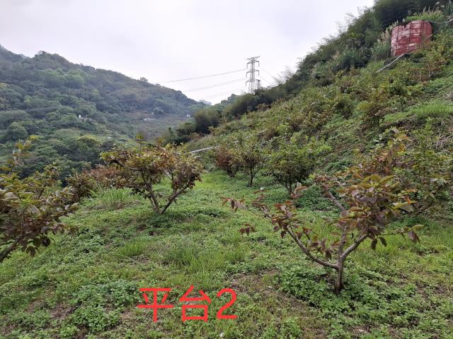 東勢農地-4