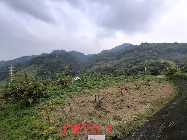 東勢農地-6