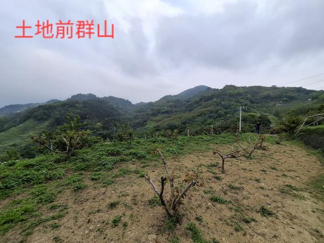 東勢農地-8