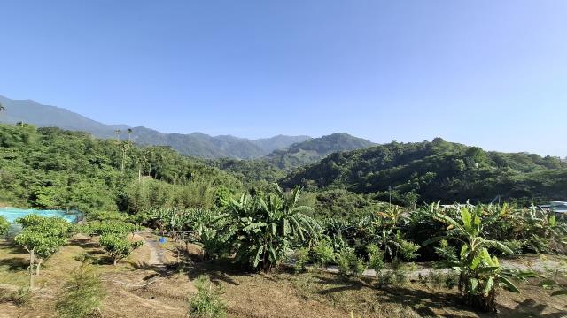 台中農地-0