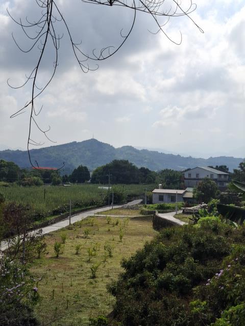 石岡農地-11