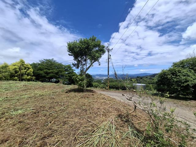 東勢農地-7