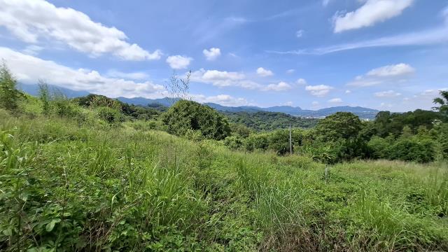 台中農地-10