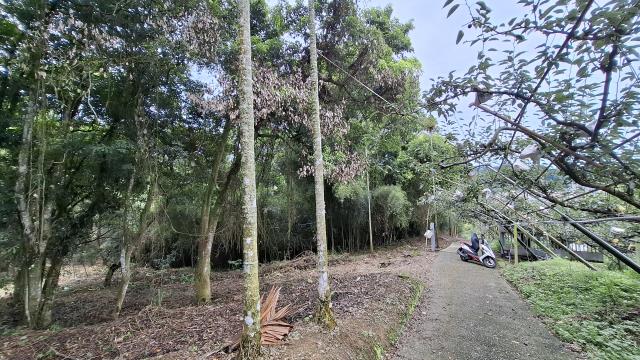 台中東勢農地-2