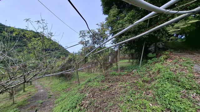 台中東勢農地-2